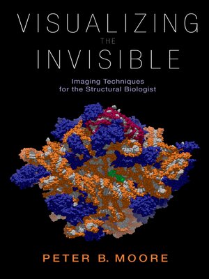 cover image of Visualizing the Invisible